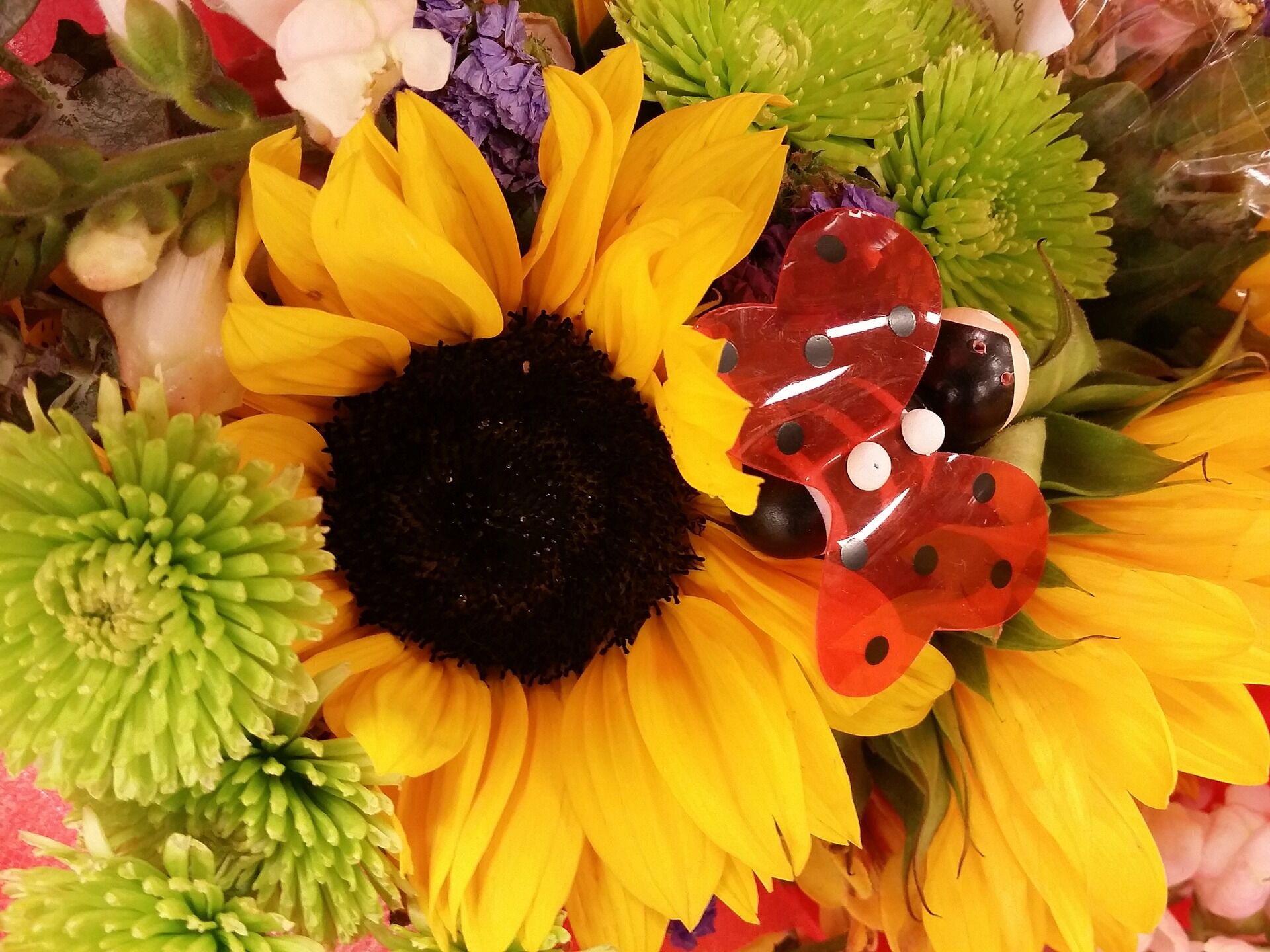 sunflower-898313_1920