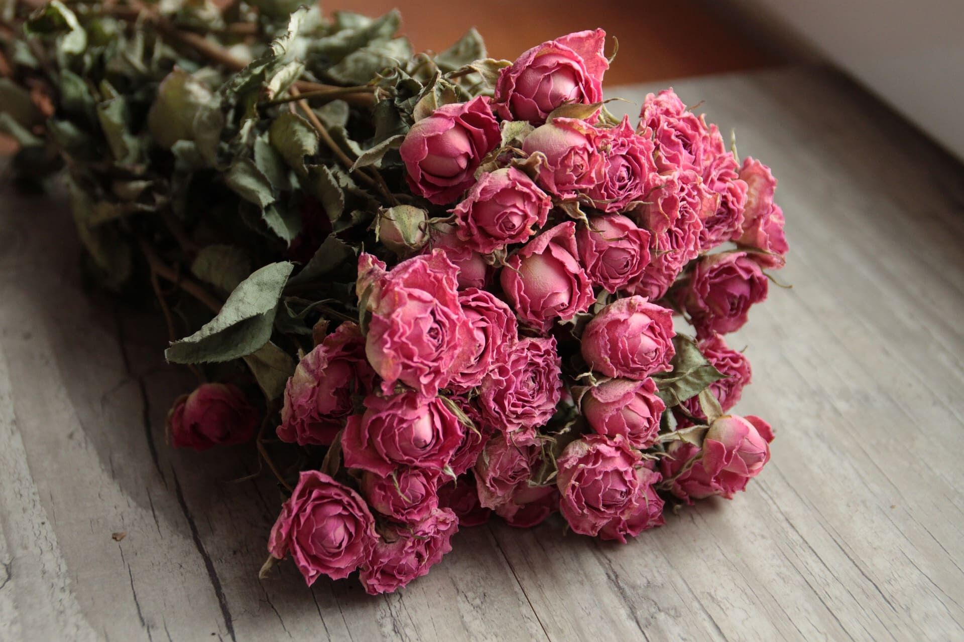 pink-4827142_1920 (1)
