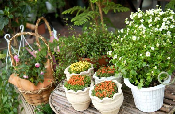生花のアレンジメントならではの質感が楽しめる | 生活が色づくお洒落なお花をお届けする郡山の花屋 HANAYA